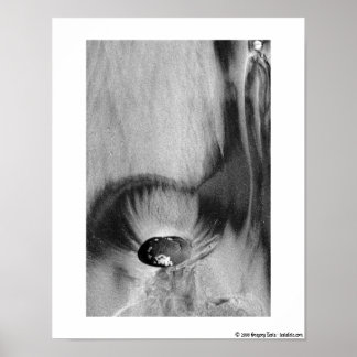 サンディエゴビーチポスター# 2 11x14 ポスター