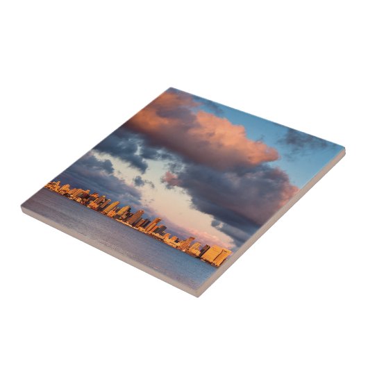 サンディエゴベイシティスカイライン タイル (側面)