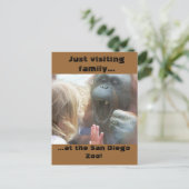 サンディエゴ動物園ポストカードでの家族の訪問 ポストカード (スタンド正面)