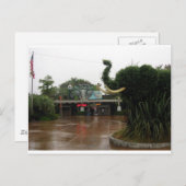 サンディエゴ動物園 ポストカード (正面/裏面)