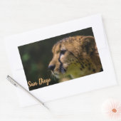 サンディエゴ動物園 長方形シール (封筒)