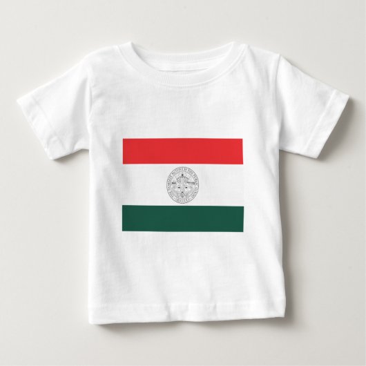 サンディエゴ州旗 ベビーTシャツ (正面)
