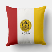 サンディエゴ市旗（カリフォルニア州） クッション (裏面)