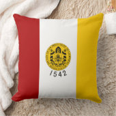 サンディエゴ市旗（カリフォルニア州） クッション (ブランケット)