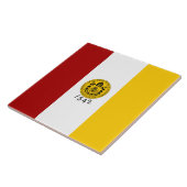 サンディエゴ市旗（カリフォルニア州） タイル (側面)
