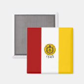 サンディエゴ市旗（カリフォルニア州） マグネット (正面/裏面)