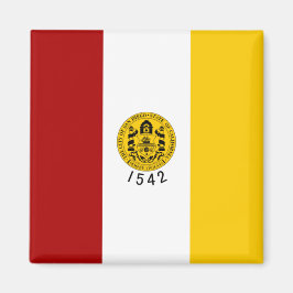 サンディエゴ市旗（カリフォルニア州） マグネット