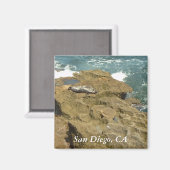 サンディエゴ日光浴シールマグネット マグネット (正面/裏面)