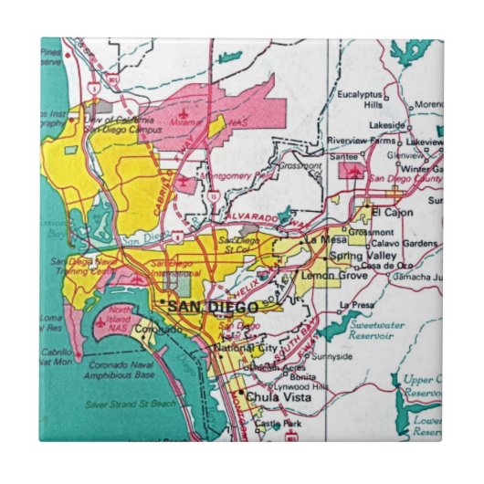 サンディエゴ タイル (正面)