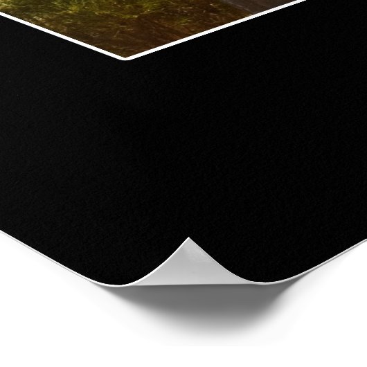 サンディエゴ ポスター (角)