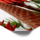 サンディエゴ・ミッション ポスター (角)