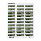 サンディエゴ ラベル (フルシート)