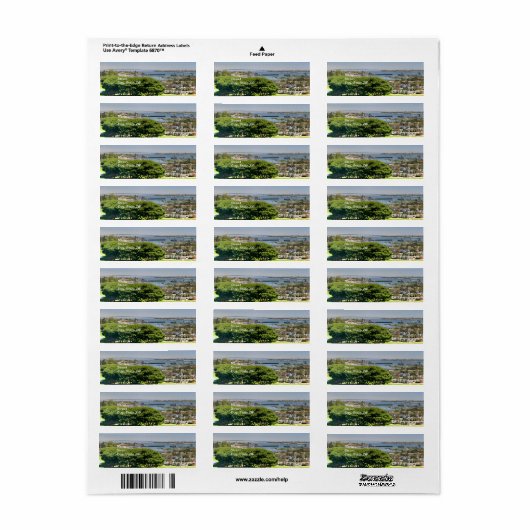 サンディエゴ ラベル (フルシート)