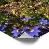 サンディエゴLDS寺院のポスター ポスター (角)