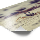 サンディカニ フォトプリント            (角)