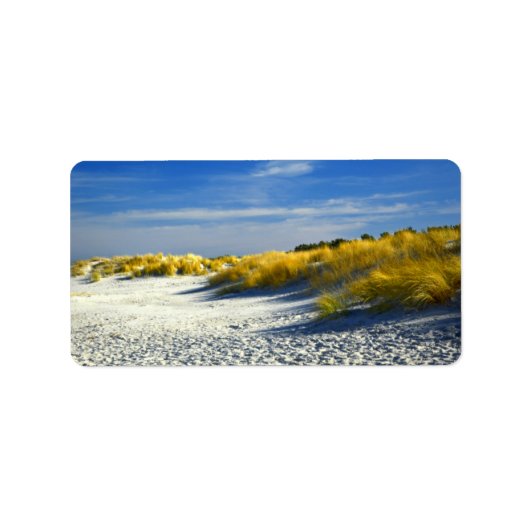 サンディシーショアアイランドダンズ ラベル (正面)