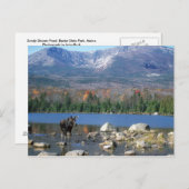 サンディストリーム池はがき ポストカード (正面/裏面)