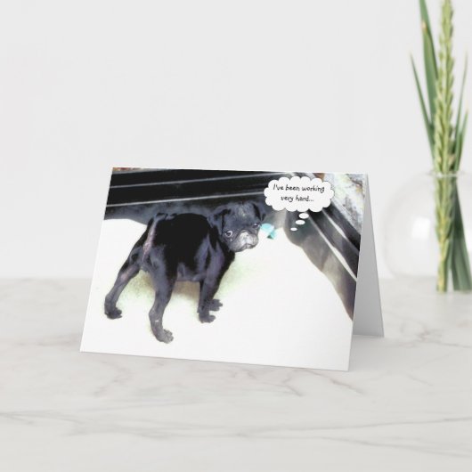 サンディハッピーバースデーグリーティングカード カード (正面)