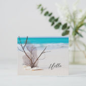 サンディビーチとホワイトシーシェルこんにちは ポストカード (スタンド正面)