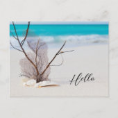 サンディビーチとホワイトシーシェルこんにちは ポストカード (正面)