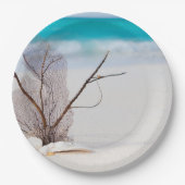 サンディビーチの貝殻の写真 ペーパープレート (正面)