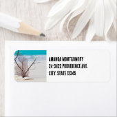 サンディビーチの貝殻の写真 ラベル (インサイチュ)