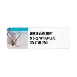 サンディビーチの貝殻の写真 ラベル