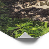 サンディビーチコーブアンドグリーンツリーズ、岩&海 ポスター (角)