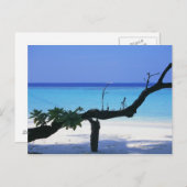 サンディビーチ8 ポストカード (正面/裏面)