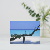 サンディビーチ8 ポストカード (スタンド正面)