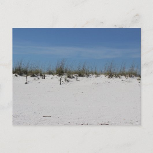 サンディビーチ ポストカード (正面)