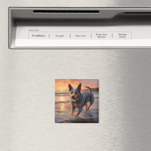 サンディポーズオーストラリア牛の犬オンビーチサンセット マグネット (インサイチュ (食洗機))