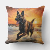 サンディポーズベルギーマリノワドグオンサンセットビーチ クッション (正面)