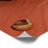 サンディラグジュアリー ポスター (角)