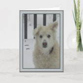 *サンディードッグ – 恋しく思私は カード (正面)