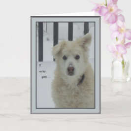 *サンディードッグ – 恋しく思私は カード