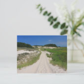 サンディーネックビーチマーシュトレイルバーンスタブルケープコッド ポストカード (スタンド正面)