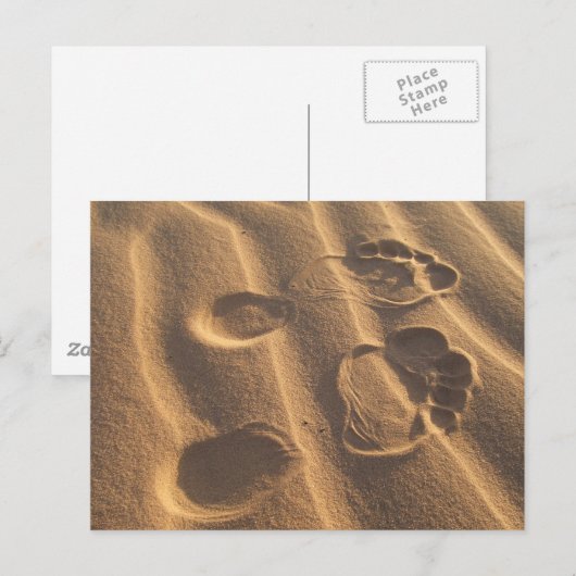 サンディ足 ポストカード (正面/裏面)