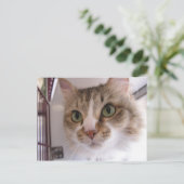 サンディ 案内ポストカード (スタンド正面)