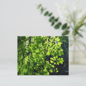 サンデッパード馬栗葉の葉書き ポストカード (スタンド正面)