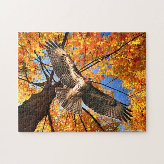 「サンデー・ホーク」パズル ジグソーパズル (横)