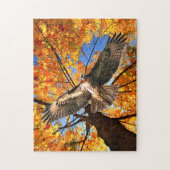 「サンデー・ホーク」パズル ジグソーパズル (縦)