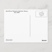 サントウインズヴィネヤーズ ポストカード (裏面)