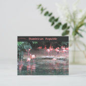 サントドミンゴ・ドミニカ共和国のフラミンゴ ポストカード (スタンド正面)