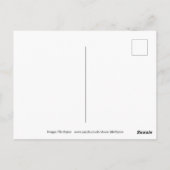 サントリーニの夕日(ギリシャ) ポストカード (裏面)