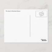 サントリーニ島 ポストカード (裏面)