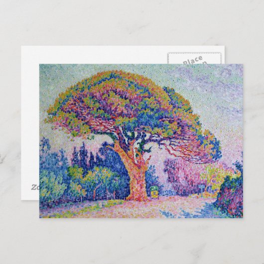 サントロペスの松の木, 1909 ポストカード (正面/裏面)