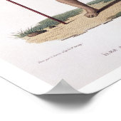 サンドイッチ諸島：州Cの王のオフィス ポスター (角)