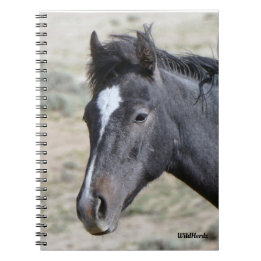 サンドウォッシュベースンポセイドン手帳 ノートブック