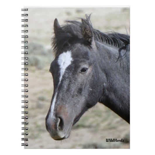 サンドウォッシュベースンポセイドン手帳 ノートブック (正面)